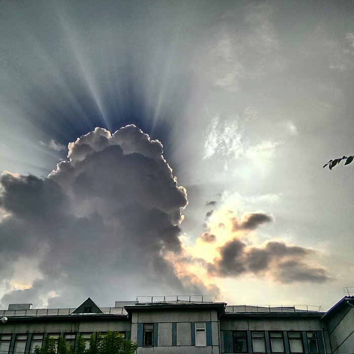 Фотографии с телефона (68 фото)