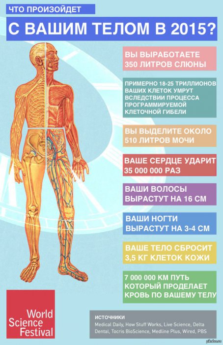 Прогноз на 2015 год