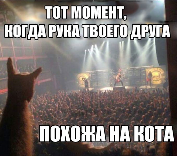 Забавные картинки