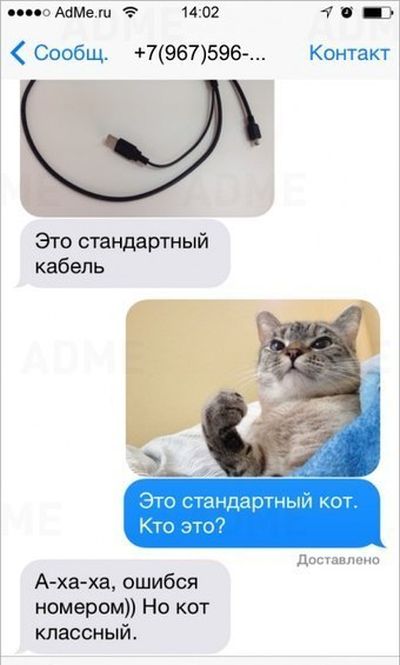 Забавные картинки