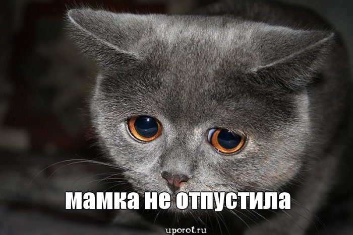 Напоминаем, сегодня, 07.02.2015 г., состоится вторая realka 24warez