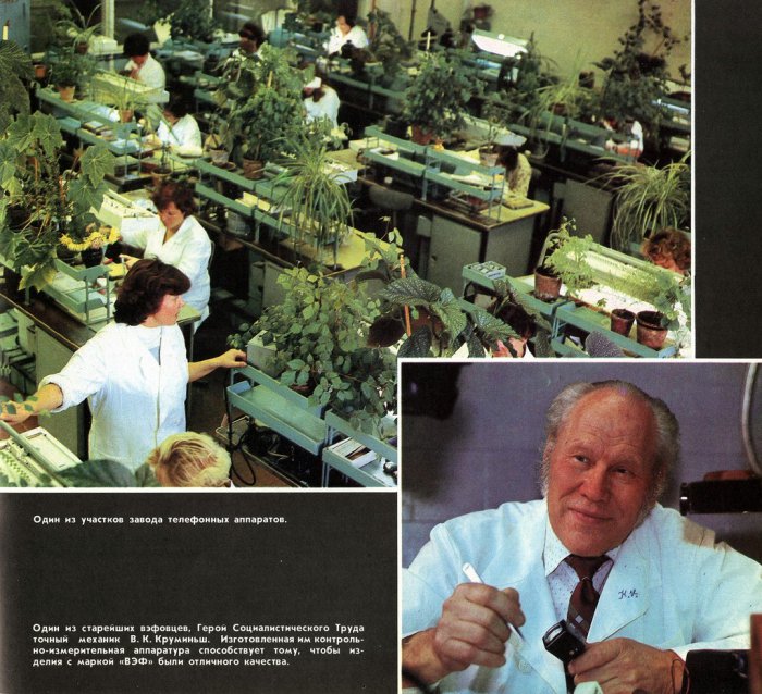 Общество ДОСААФ завода ВЭФ в 1987 году