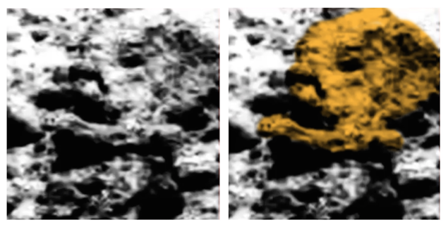 Ленин на Марсе