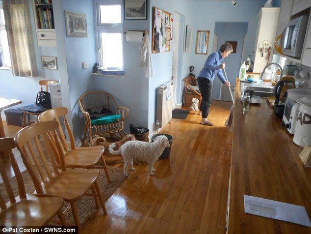 Тёлочки заходили в гости