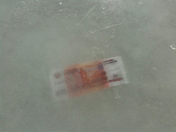 Что бы вы сделали?