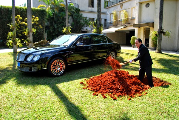 Свои тараканы в голове