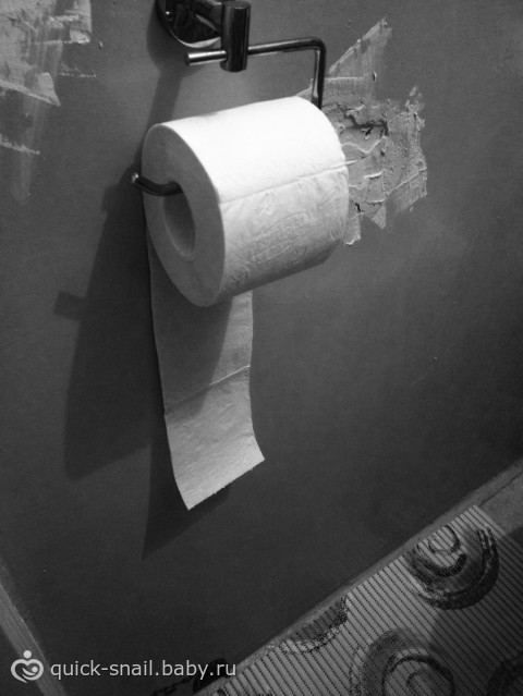 Как правильно устанавливать рулон туалетной бумаги