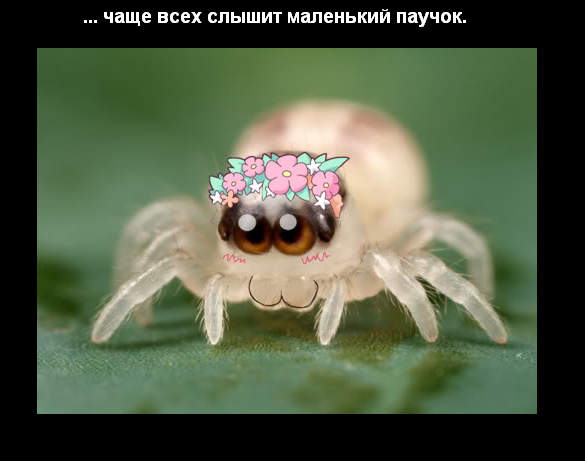 Размер имеет значение?