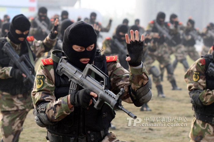  Существует ли армия, которая могла бы захватить США?