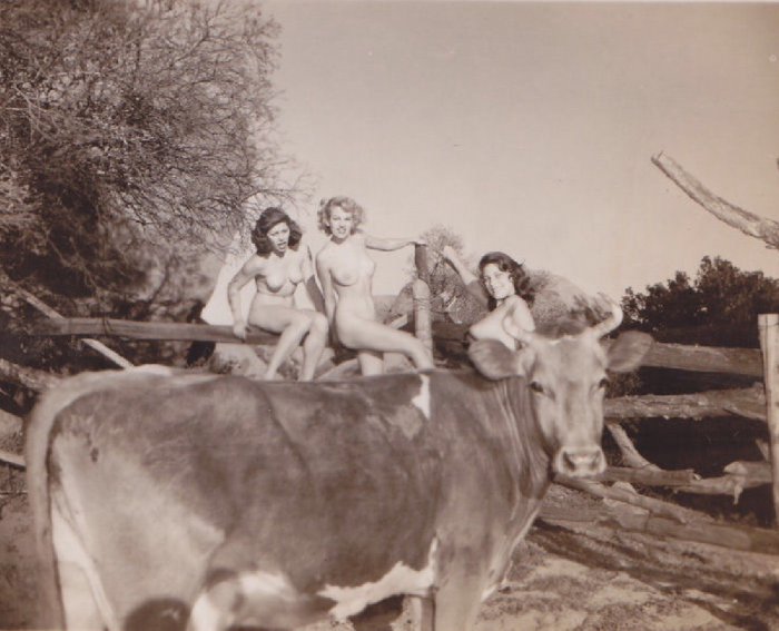 Девушки бывают разные