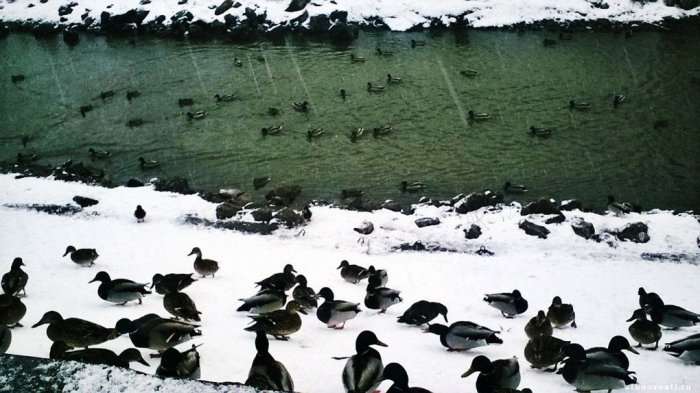 Погода в Красноярске на выходных будет переменчивой