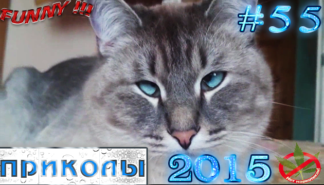 Отборные приколы (#55) Апрель