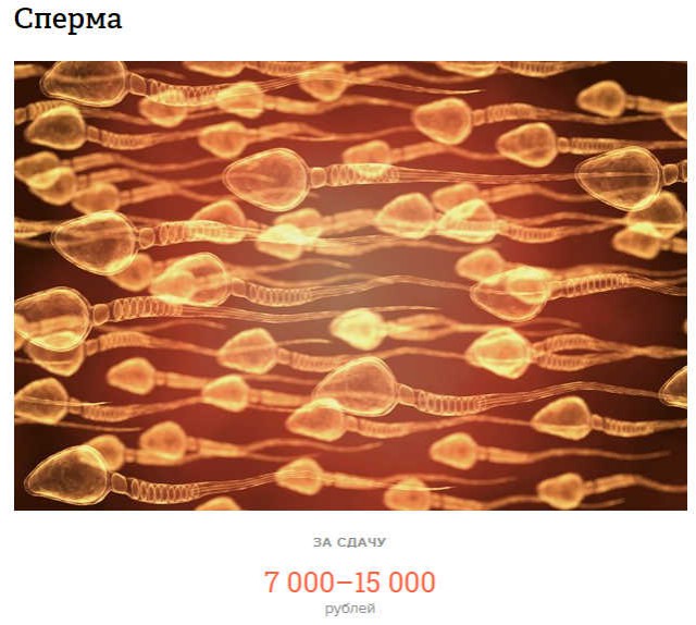  Сколько можно заработать на своём теле