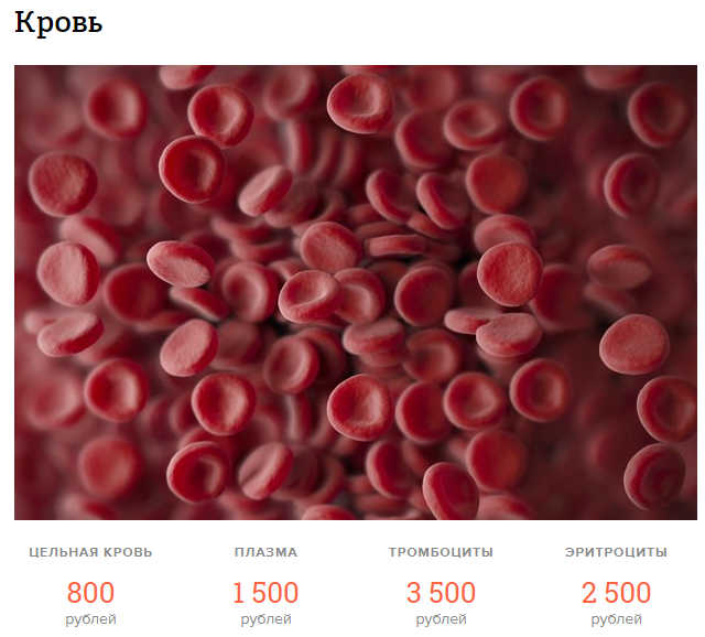  Сколько можно заработать на своём теле