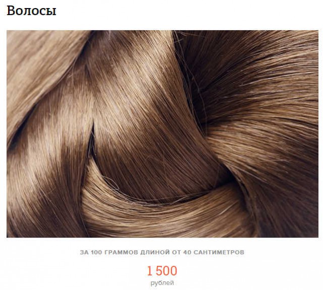  Сколько можно заработать на своём теле