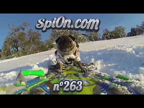 Le Zap de Spi0n n°263