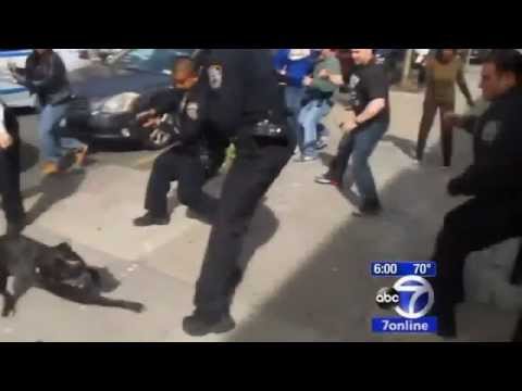 Полиция Нью-Йорка отжигает Полиция Нью-Йорка отжигает