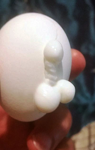 Сварил яйцо вкрутую, а скорлупа немного треснула