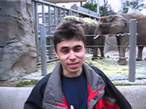 Сегодня 10 лет YouTube