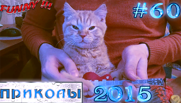 Отборные приколы (#60 Апрель)