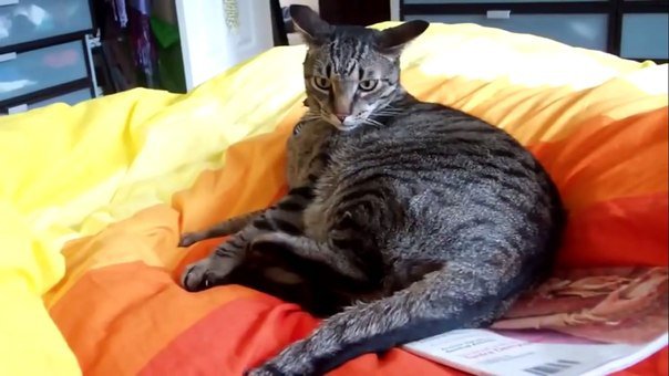 Жестокий бой с самим собой