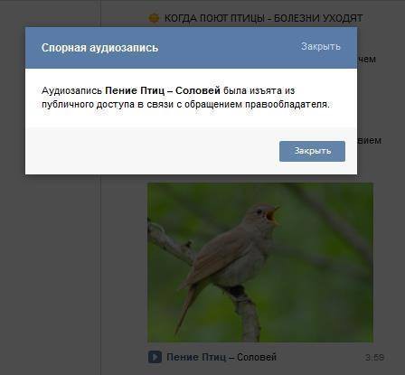 Соловей, ну ты чё?!