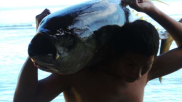 В США мужчину случайно зажарили в духовке с тунцом