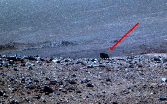 Ровер НАСА снял на Марсе животное Ровер НАСА снял на Марсе животное