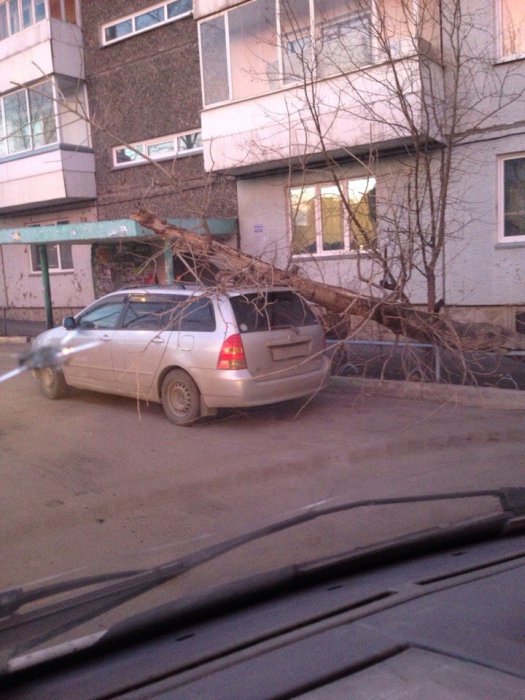 В Красноярском крае продолжается сильный ветер