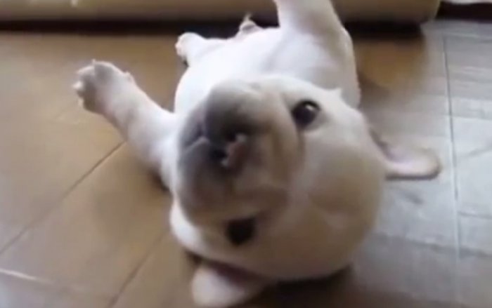 Как я встаю в понедельник утром