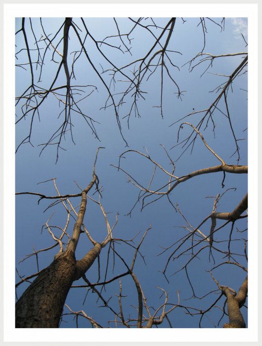 Немного фото от себя