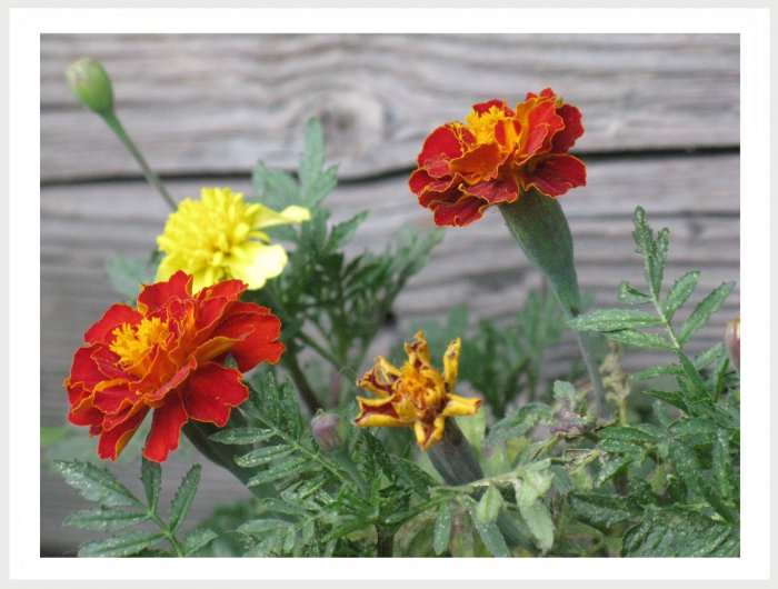 Немного фото от себя