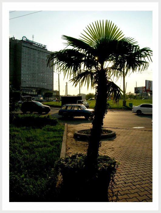 Немного фото от себя