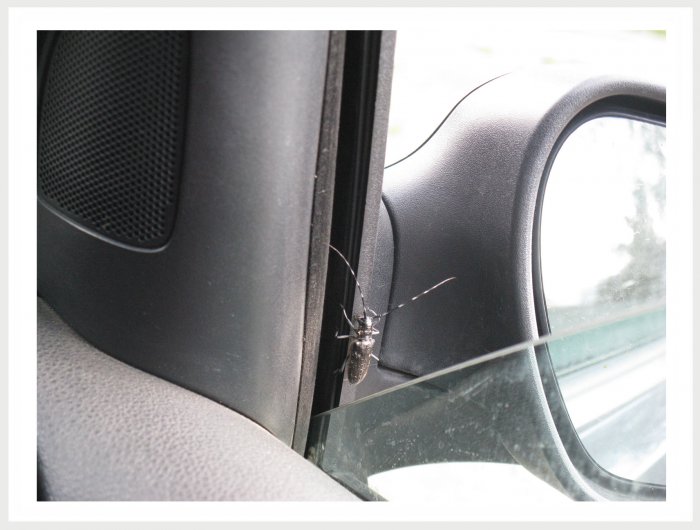 Немного фото от себя