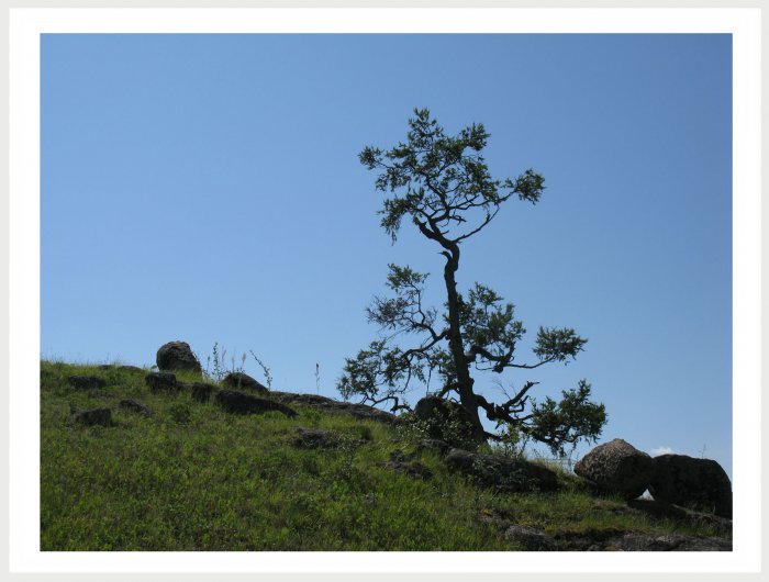 Немного фото от себя