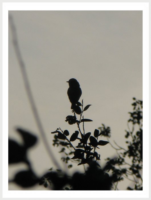 Немного фото от себя