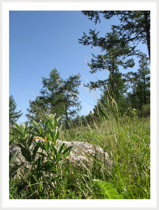 Немного фото от себя