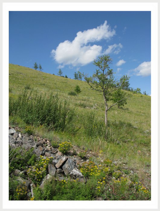 Немного фото от себя