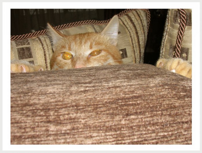 Немного фото от себя