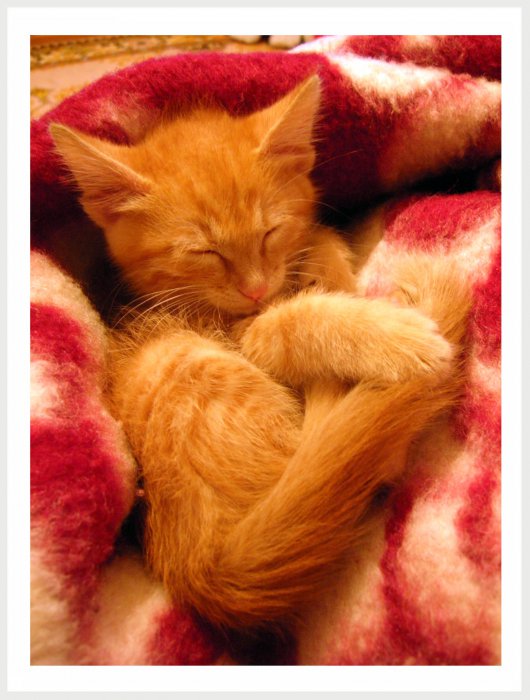 Немного фото от себя