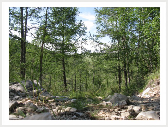 Немного фото от себя