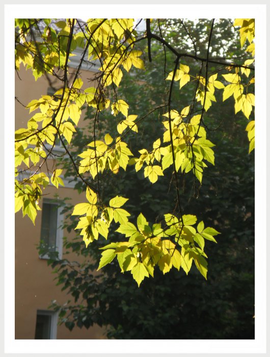 Немного фото от себя