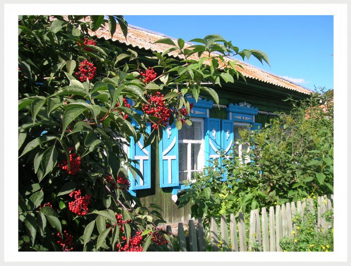 Немного фото от себя