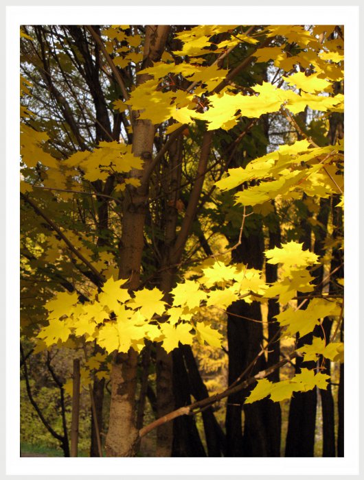 Немного фото от себя