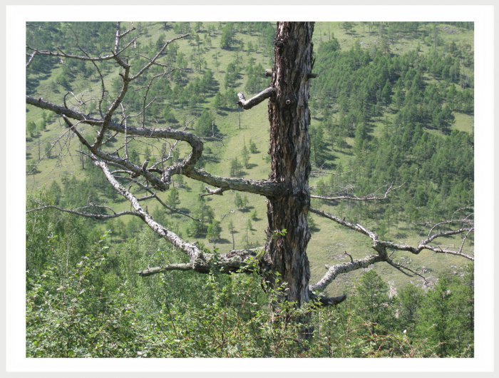 Немного фото от себя