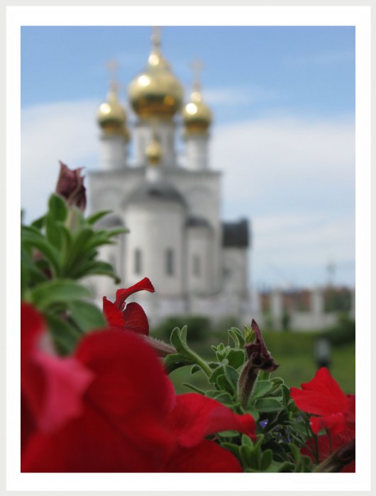 Немного фото от себя