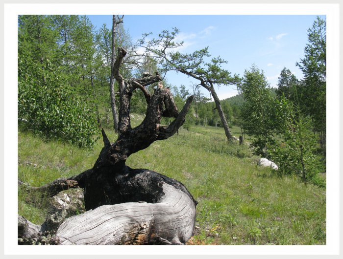 Немного фото от себя