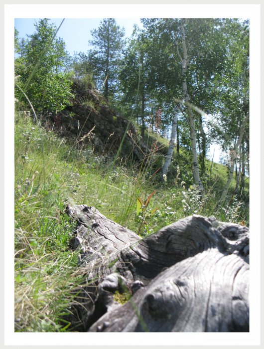 Немного фото от себя