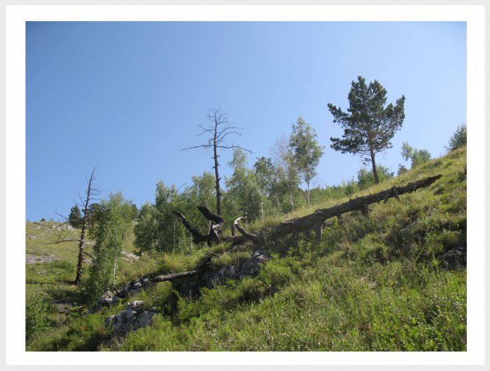 Немного фото от себя