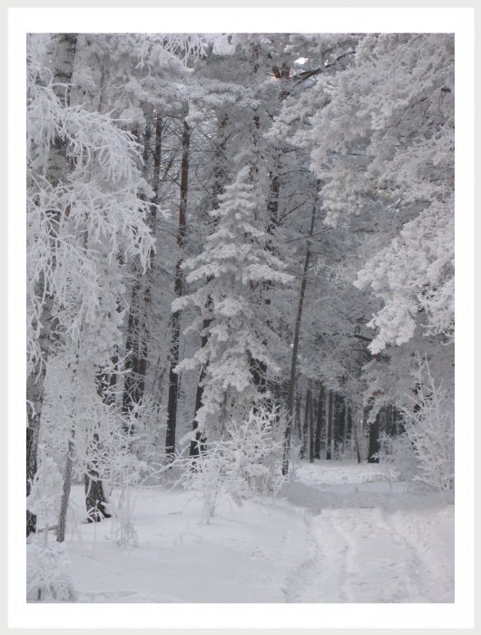 Немного фото от себя